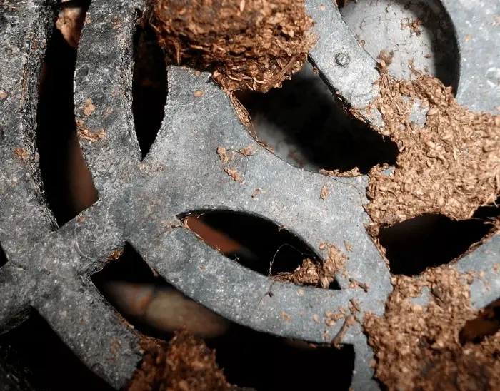 Signs That Your Drains Need Jetting