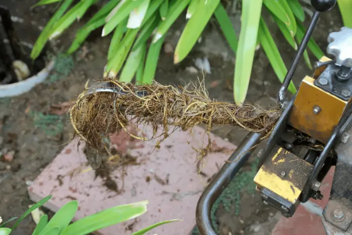 Can You Sell A House With Drainage Problems? Drain Surveyors Bury