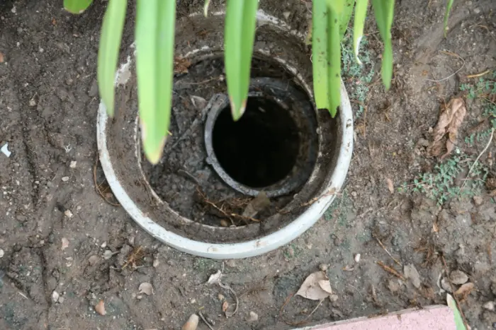 Signs You Need Drain Jetting for Your Property